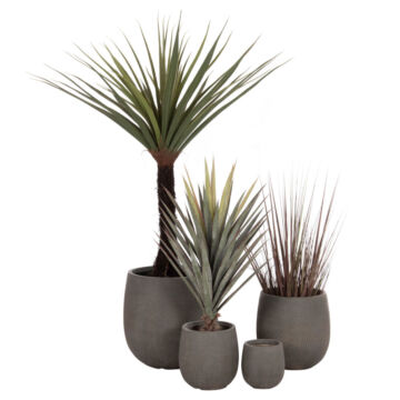 set-4tmch-glastres-stroggyles-fb94726-fi
