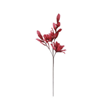 022976-L0SZo-first-_1