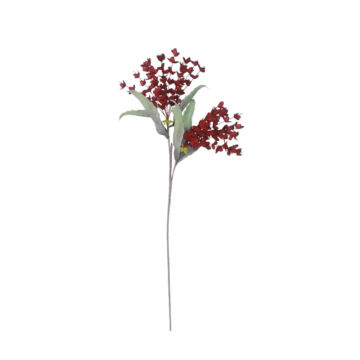 022987-lawsu-first-_1