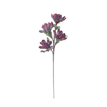 022994-DGfKk-first-_1