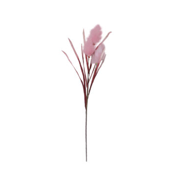 023013-4x2oh-first-_1