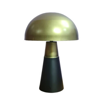 028237-NV8d8-first-_1