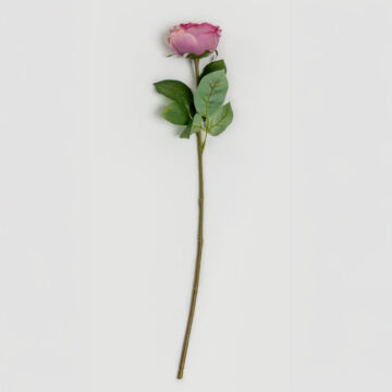 030916-h3bcG-first-_1