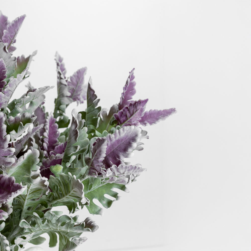 SENECIO CINERARIA ΚΛΑΔΙ ΤΕΧΝΗΤΟ 76cm POLYESTER ΠΡΑΣΙΝΟ ΜΩΒ