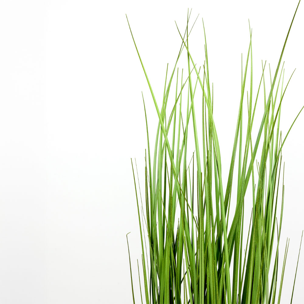 PURE GRASS ΦΥΤΟ ΤΕΧΝΗΤΟ ΣΕ ΓΛΑΣΤΡΑ 90cm PVC ΠΡΑΣΙΝΟ