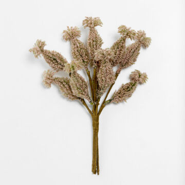 031771-Hqiow-first-_1