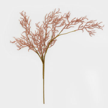 031778-GoAdd-first-_1