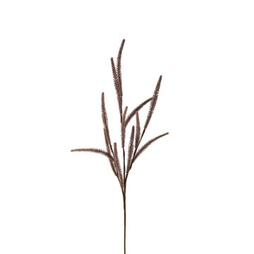 031779-EzooY-first-_1