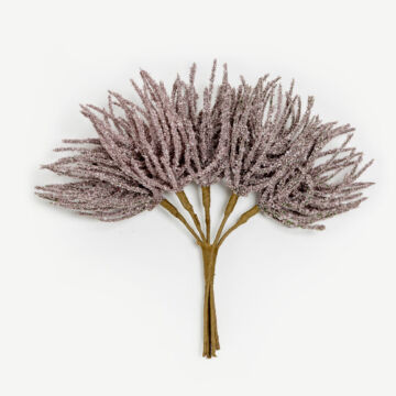 031781-KFKHo-first-_1