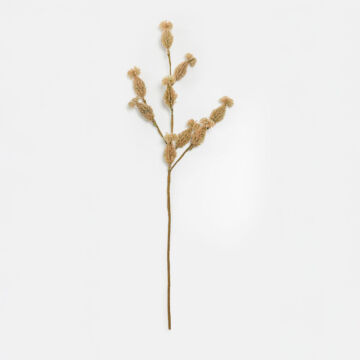 031790-csVnh-first-_1