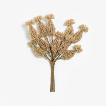 031792-QPewH-first-_1