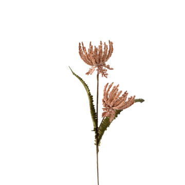 031795-lw5Vt-first-_1