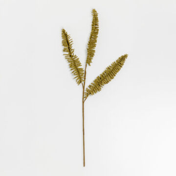 031819-va2rx-first-_1