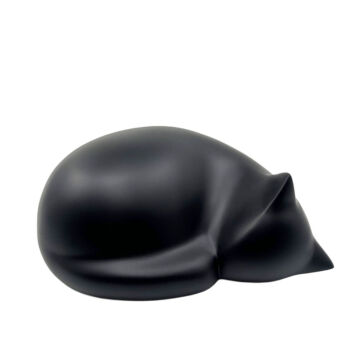 034518-pnWch-first-_1