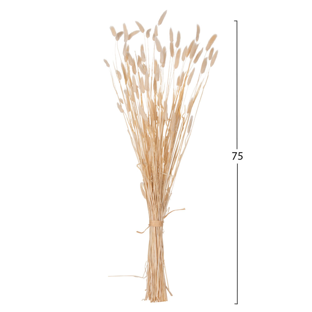 ΔΙΑΚΟΣΜΗΤΙΚΟ ΜΠΟΥΚΕΤΟ ΑΠΟΞΗΡΑΜΕΝΟ FB97959 RABBIT TAIL- CREAM 50gr 76Υεκ.