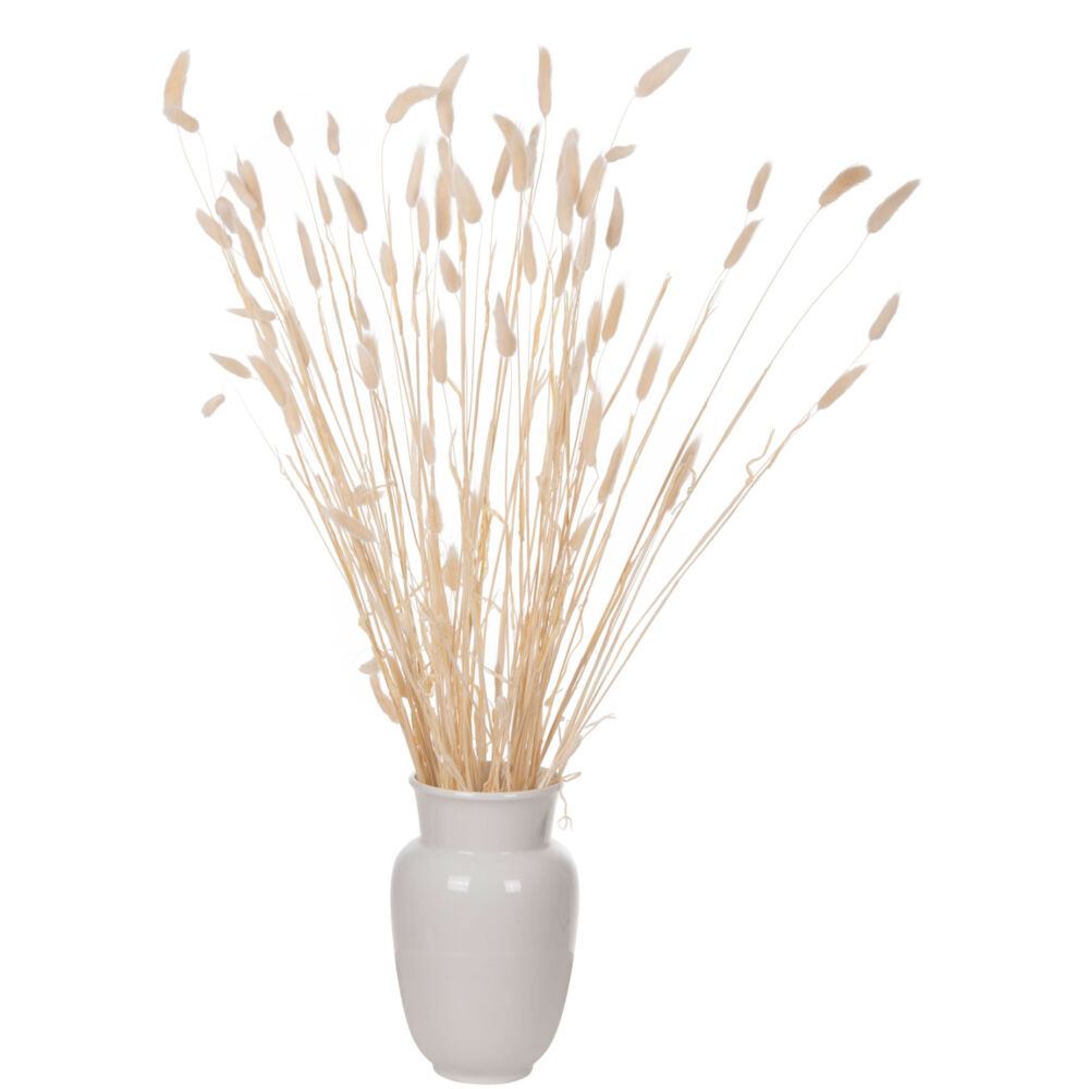 ΔΙΑΚΟΣΜΗΤΙΚΟ ΜΠΟΥΚΕΤΟ ΑΠΟΞΗΡΑΜΕΝΟ FB97959 RABBIT TAIL- CREAM 50gr 76Υεκ.