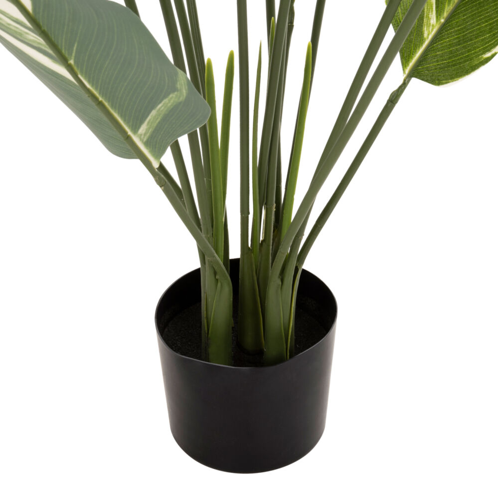 ΔΙΑΚΟΣΜΗΤΙΚΟ ΣΥΝΘΕΤΙΚΟ ΦΥΤΟ FB97997 CALATHEA ΣΕ ΓΛΑΣΤΡΑ 140Υεκ.