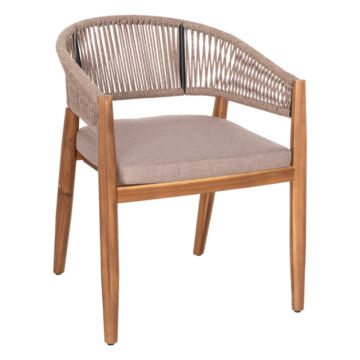 polythrona-fb9613502-xylo-akakias-fysiko