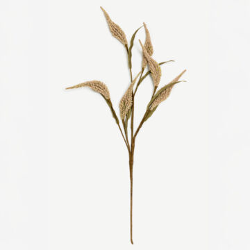 031741-9Eozl-first-_1