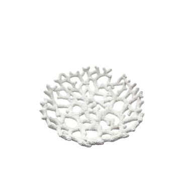 034305-3jqWp-first-_1